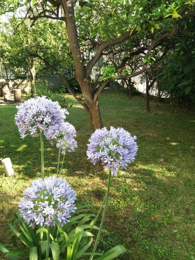 Vila Skala Herceg Novi Bagian luar foto